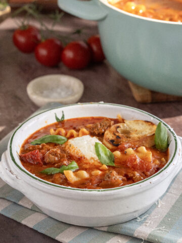The Best Lasagna Soup