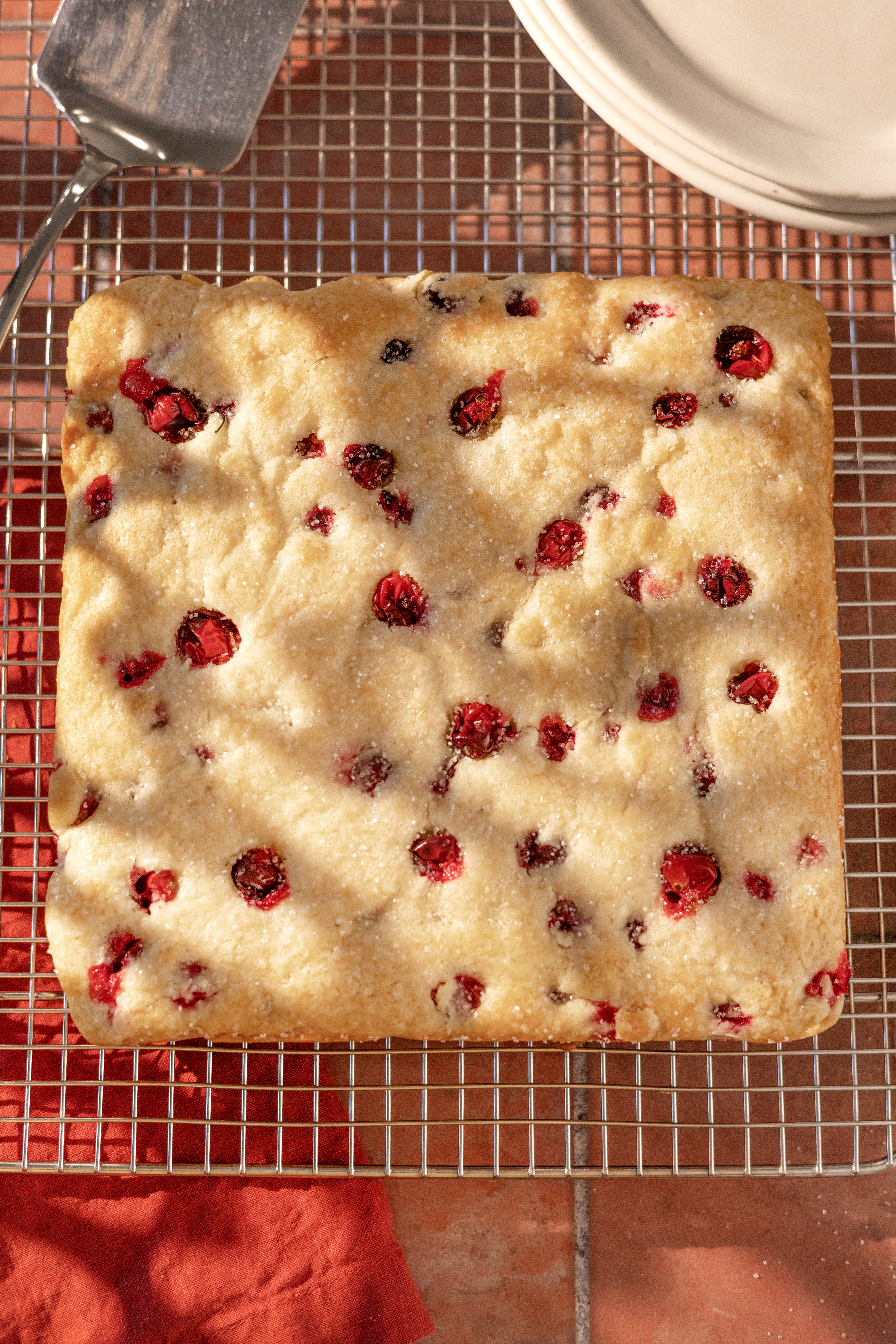 Cranberry Breakfast Cake