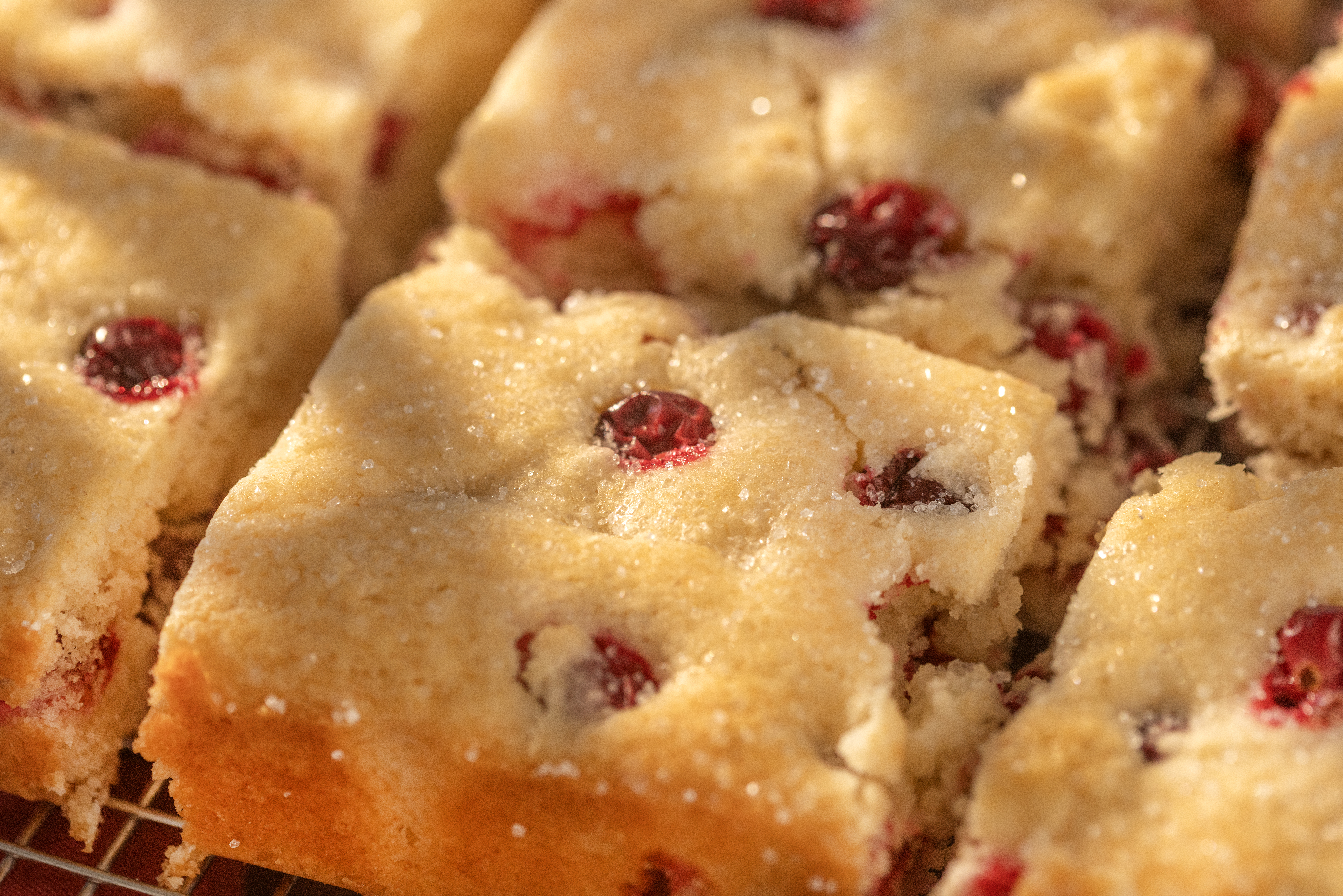 Cranberry Breakfast Cake