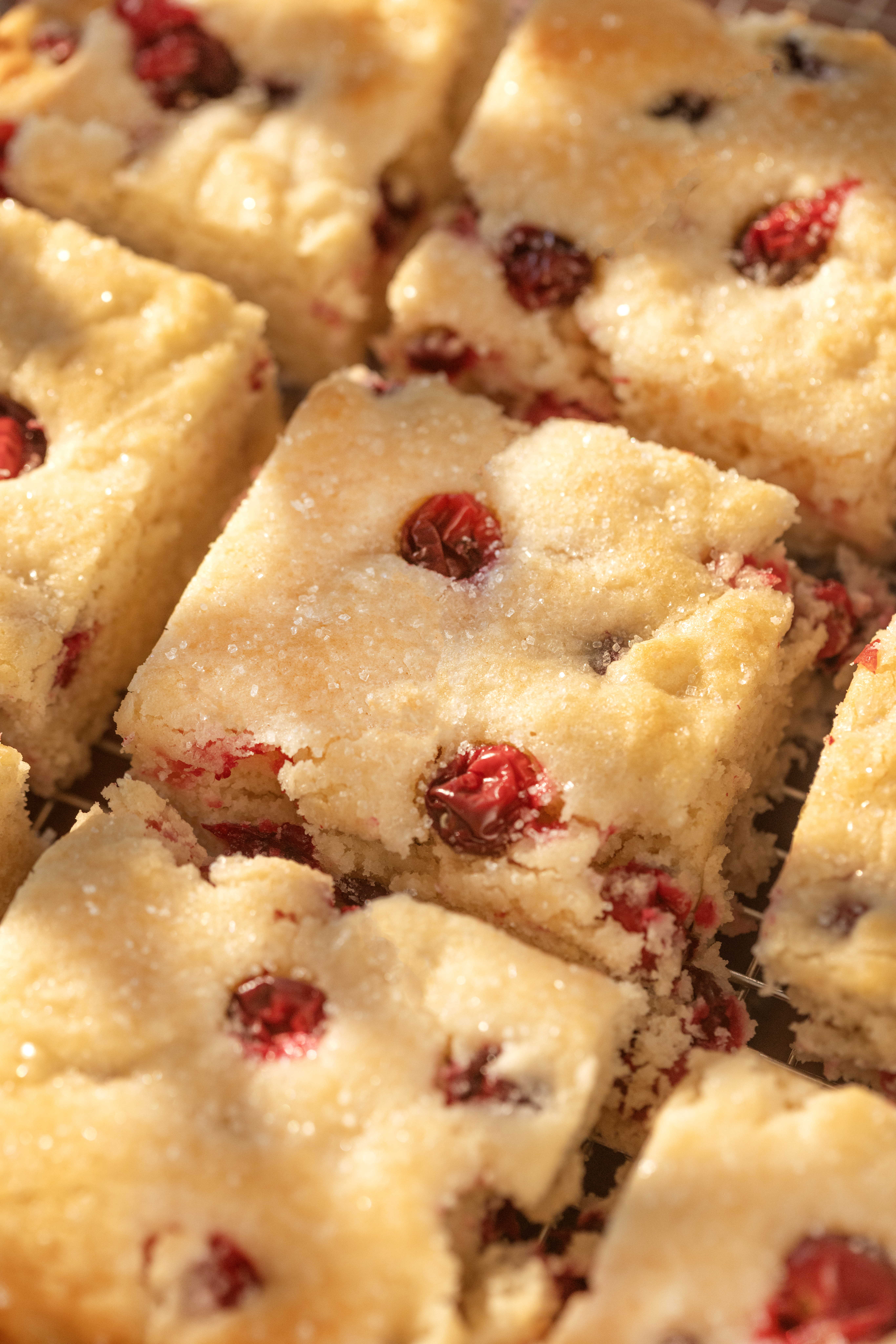 Cranberry Breakfast Cake