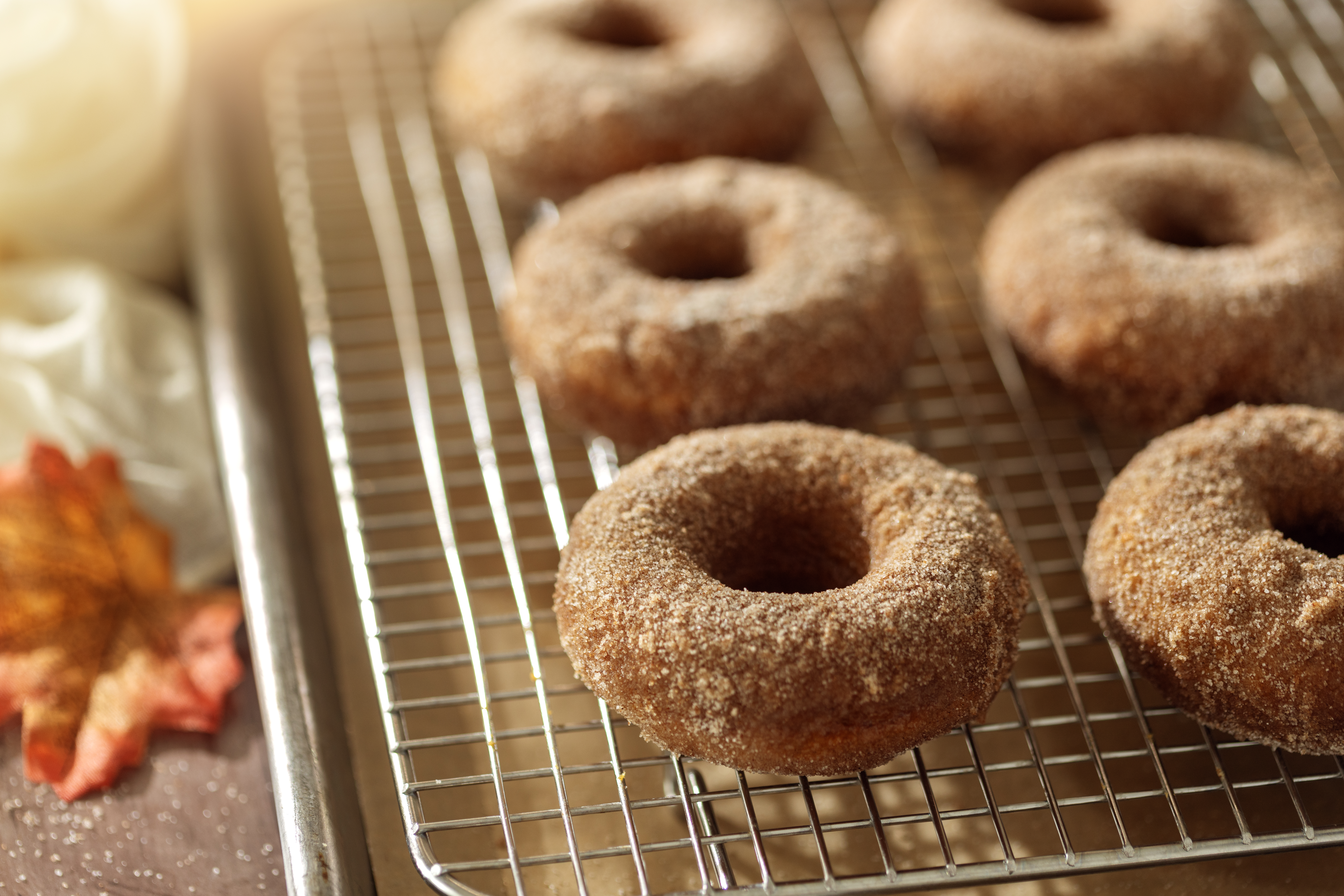 Easy Baked Pumpkin Donuts