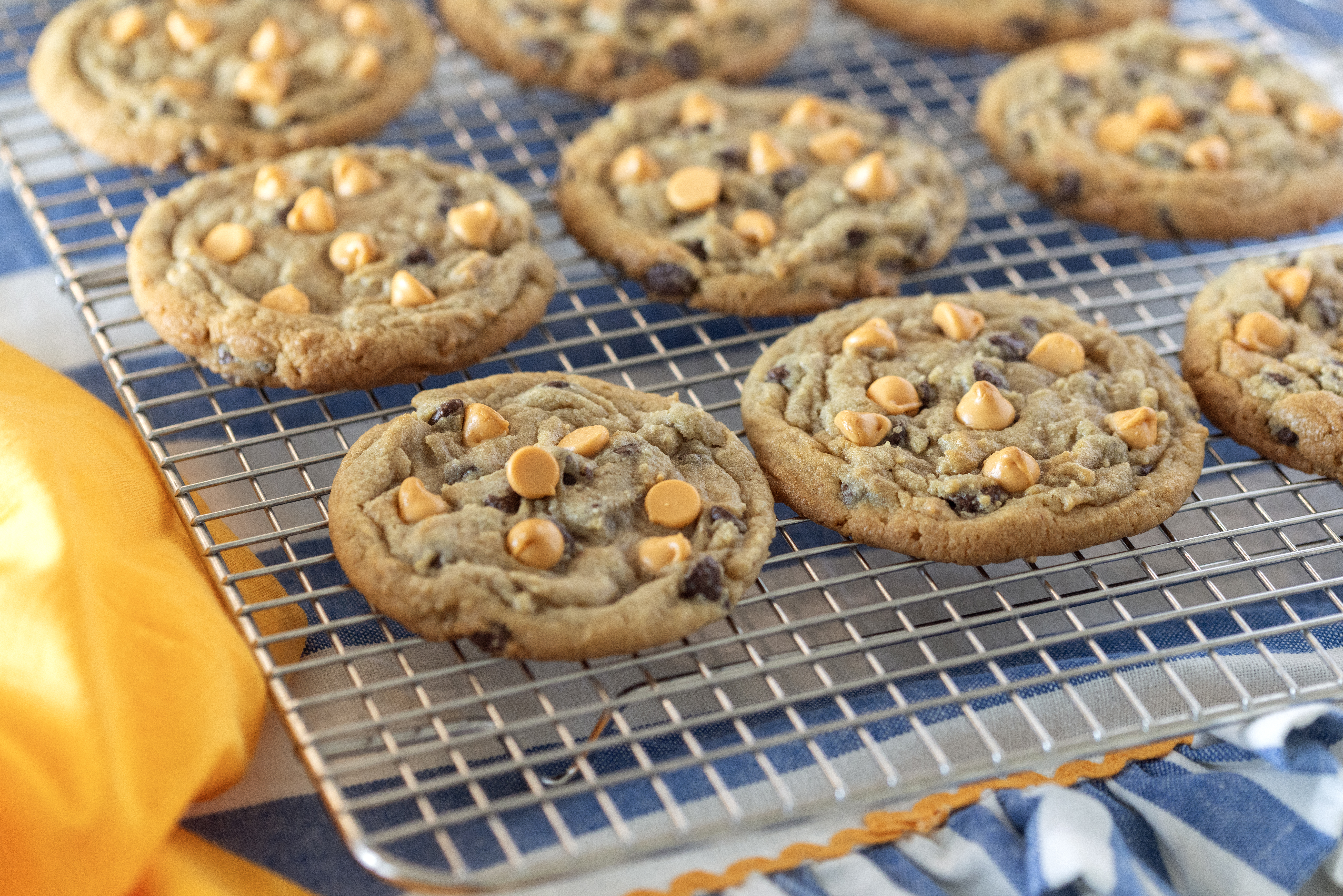 Easy Chocolate Chip Butterscotch Cookies