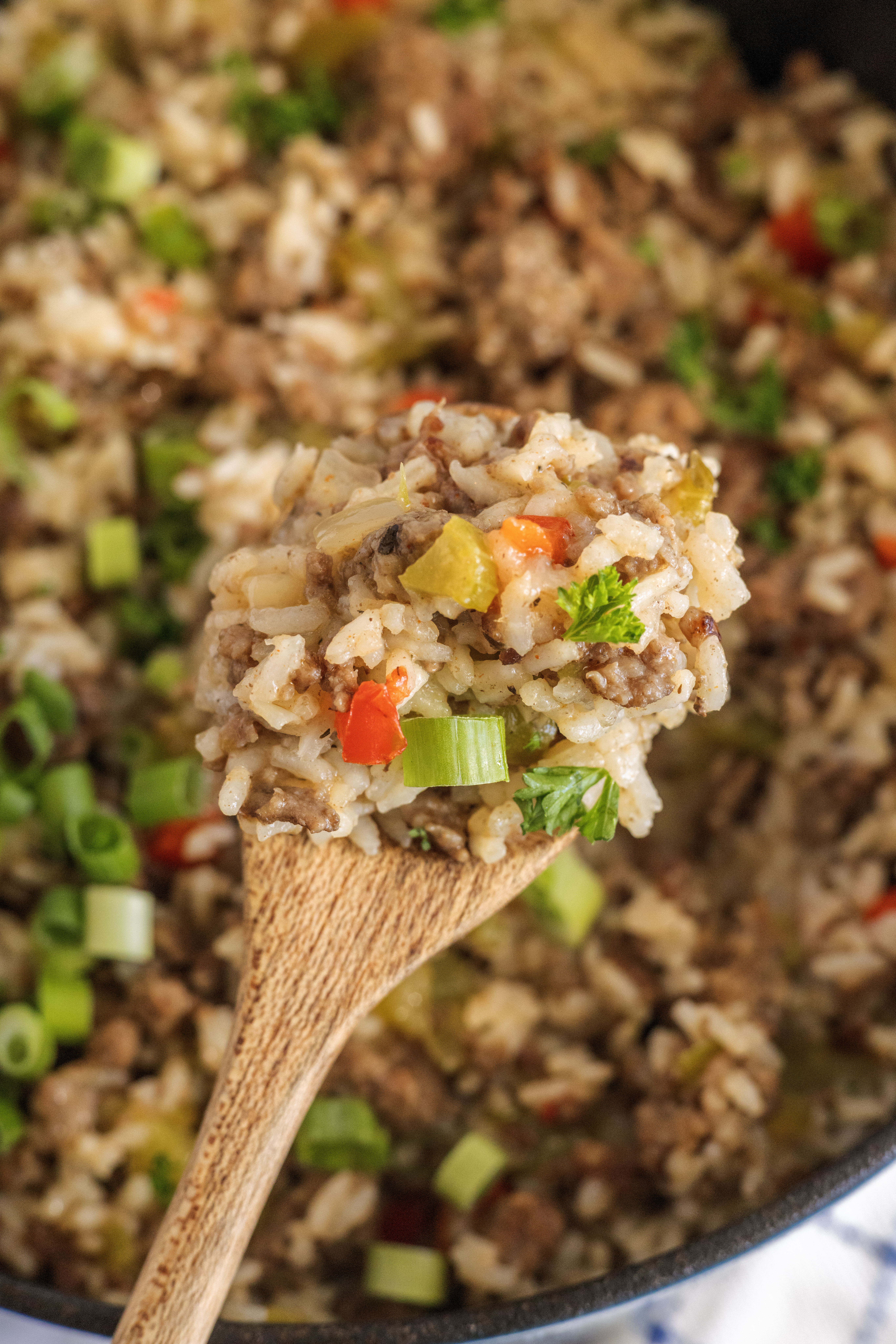 Southern Style Dirty Rice