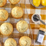 Lemon Poppy Seed Muffins