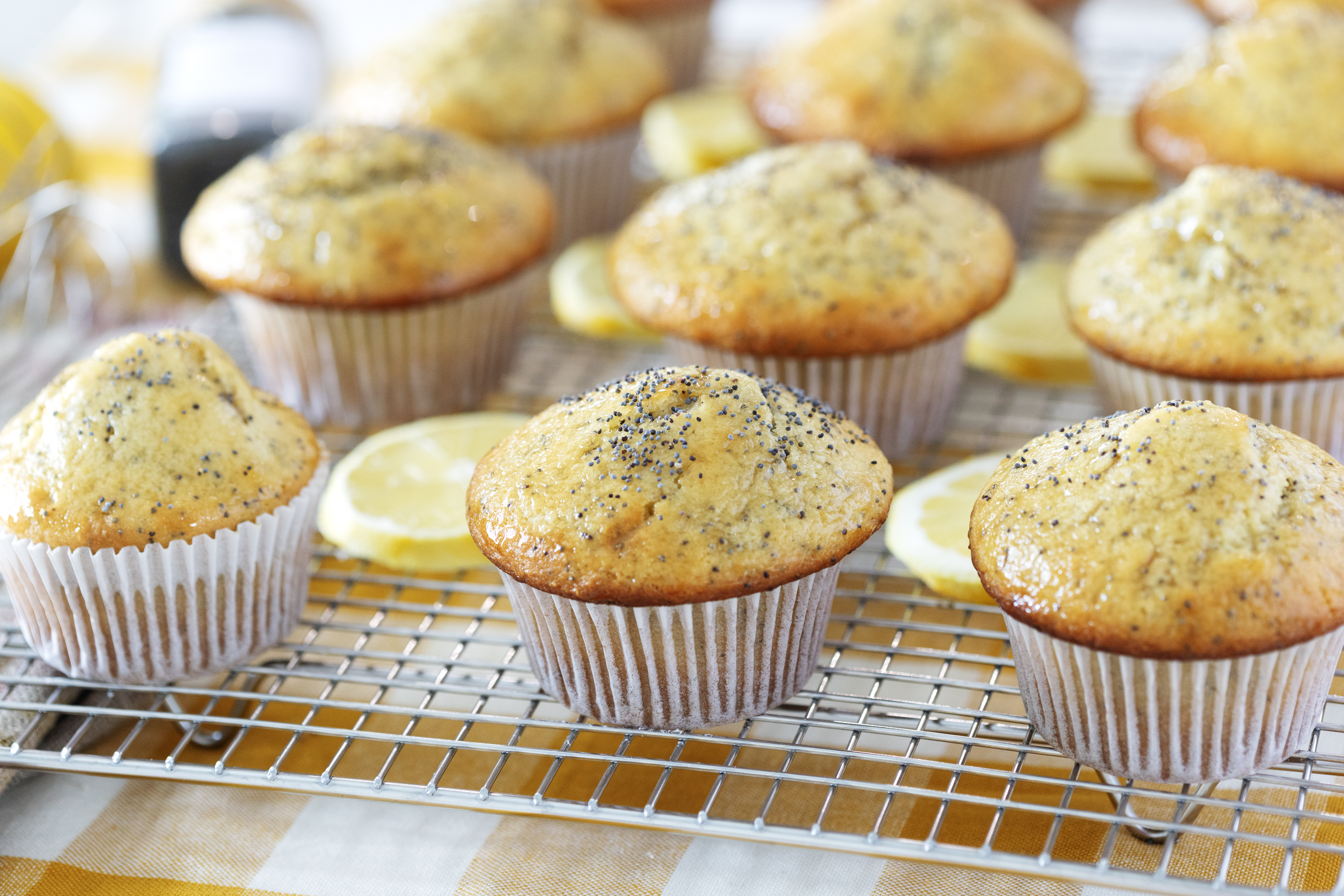 Lemon Poppy Seed Muffins