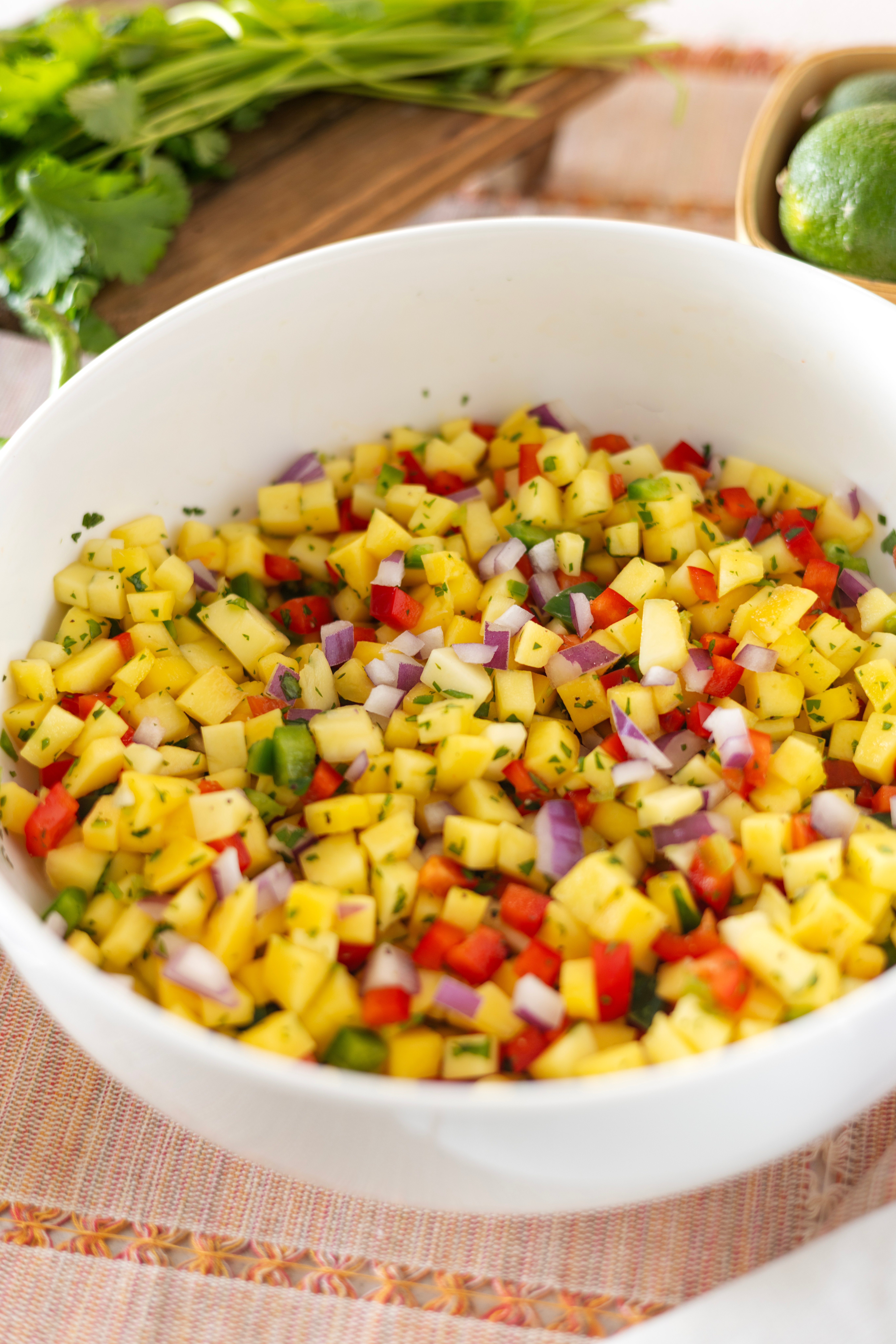 Easy Healthy Mango Salsa
