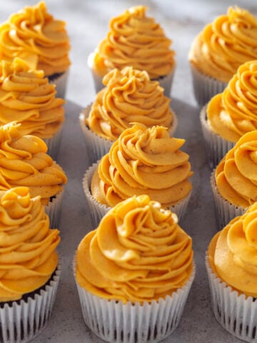 Chocolate Cupcakes with Pumpkin Cheesecake Frosting