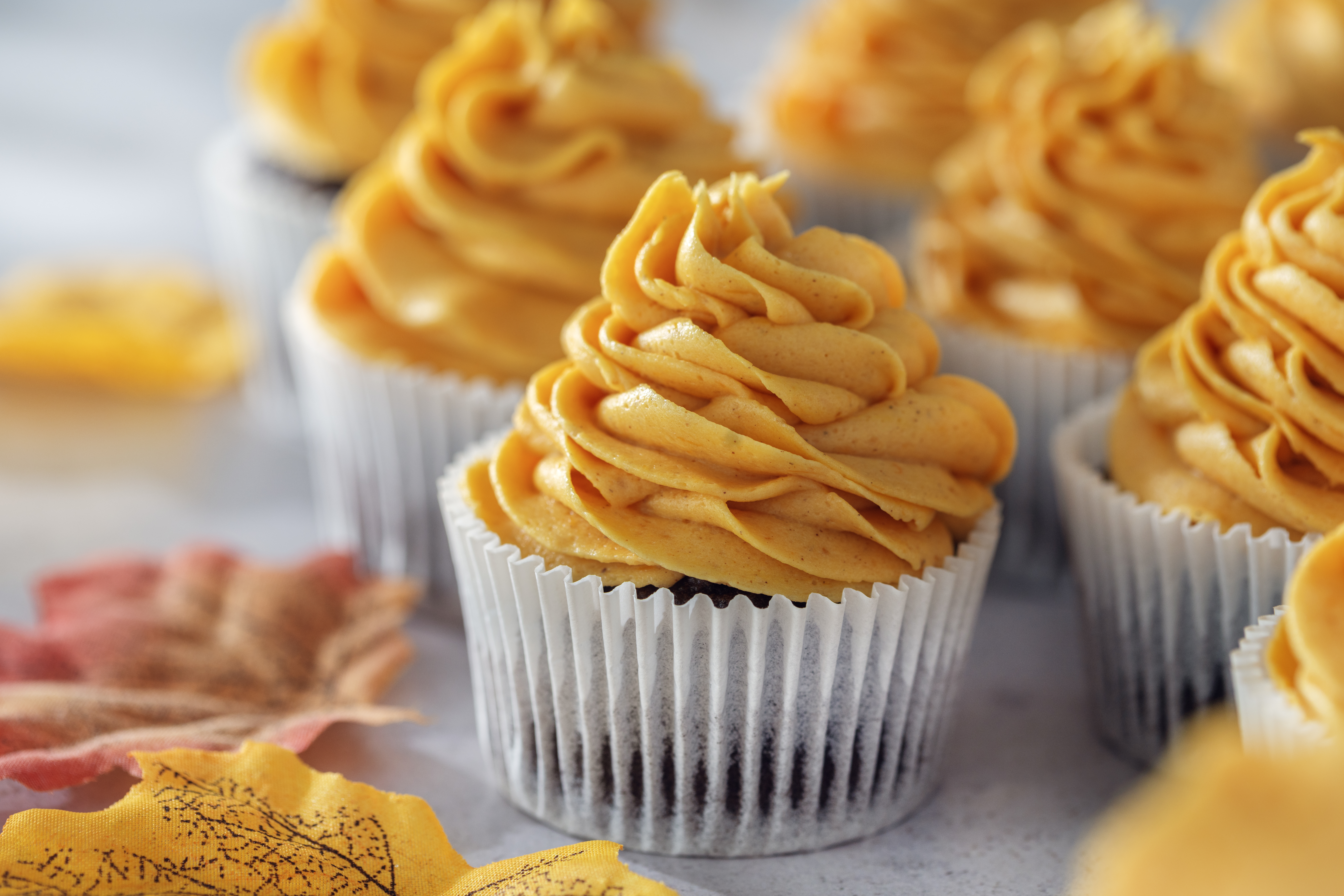 Chocolate Cupcakes with Pumpkin Cheesecake Frosting