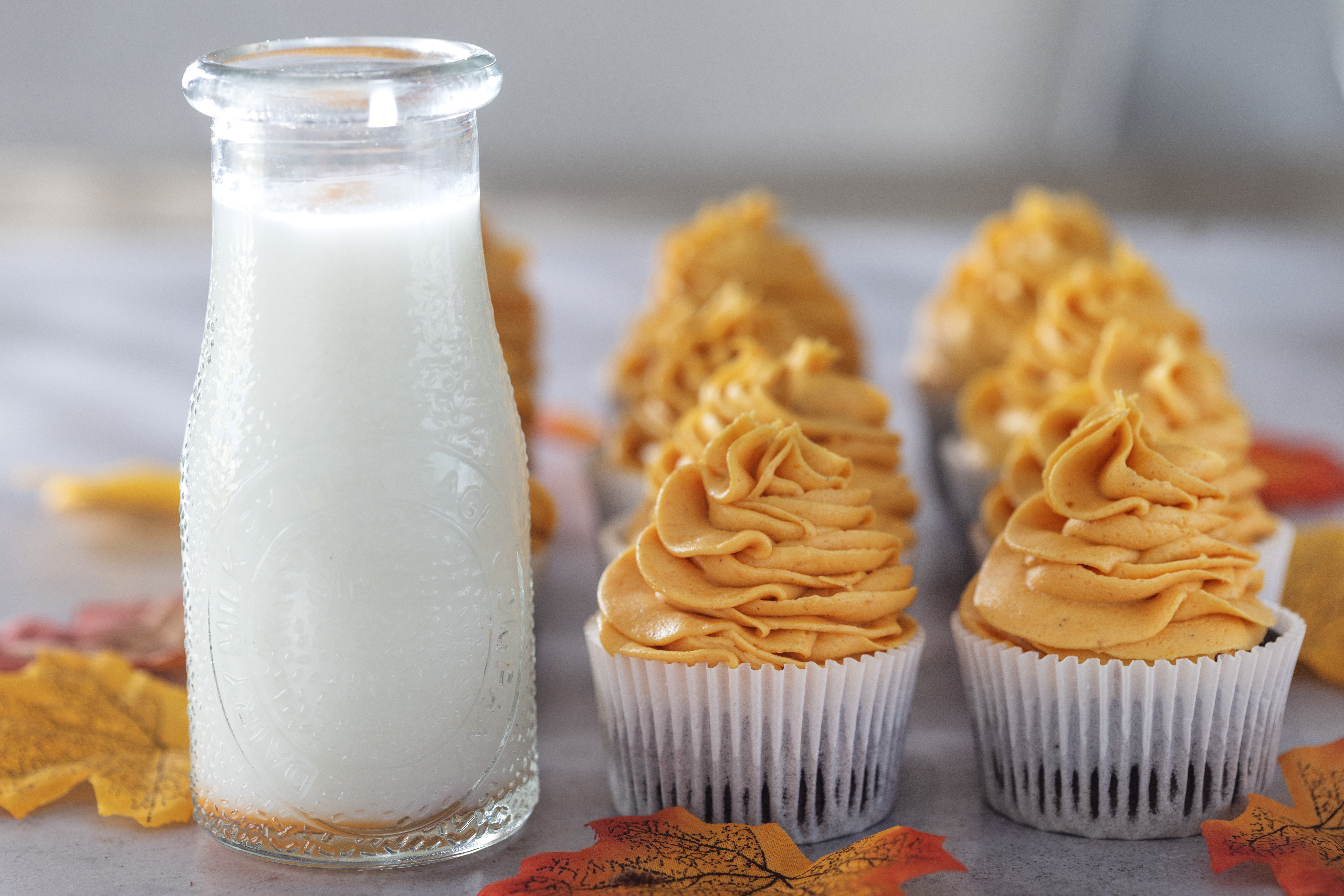 Chocolate Cupcakes with Pumpkin Cheesecake Frosting