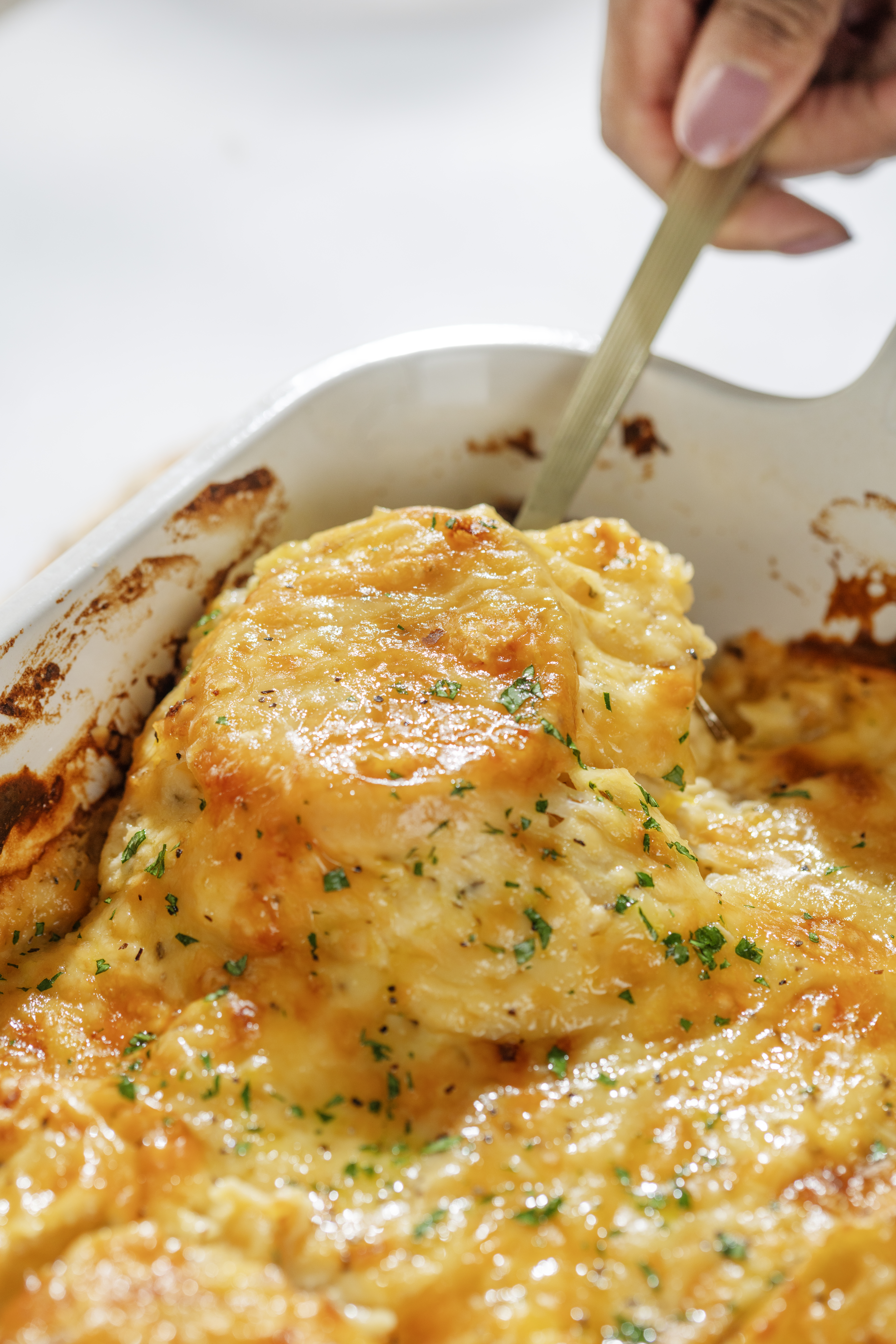 Cheesy Au Gratin Potatoes 