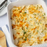 Cheesy Chicken Alfredo Stuffed Shells