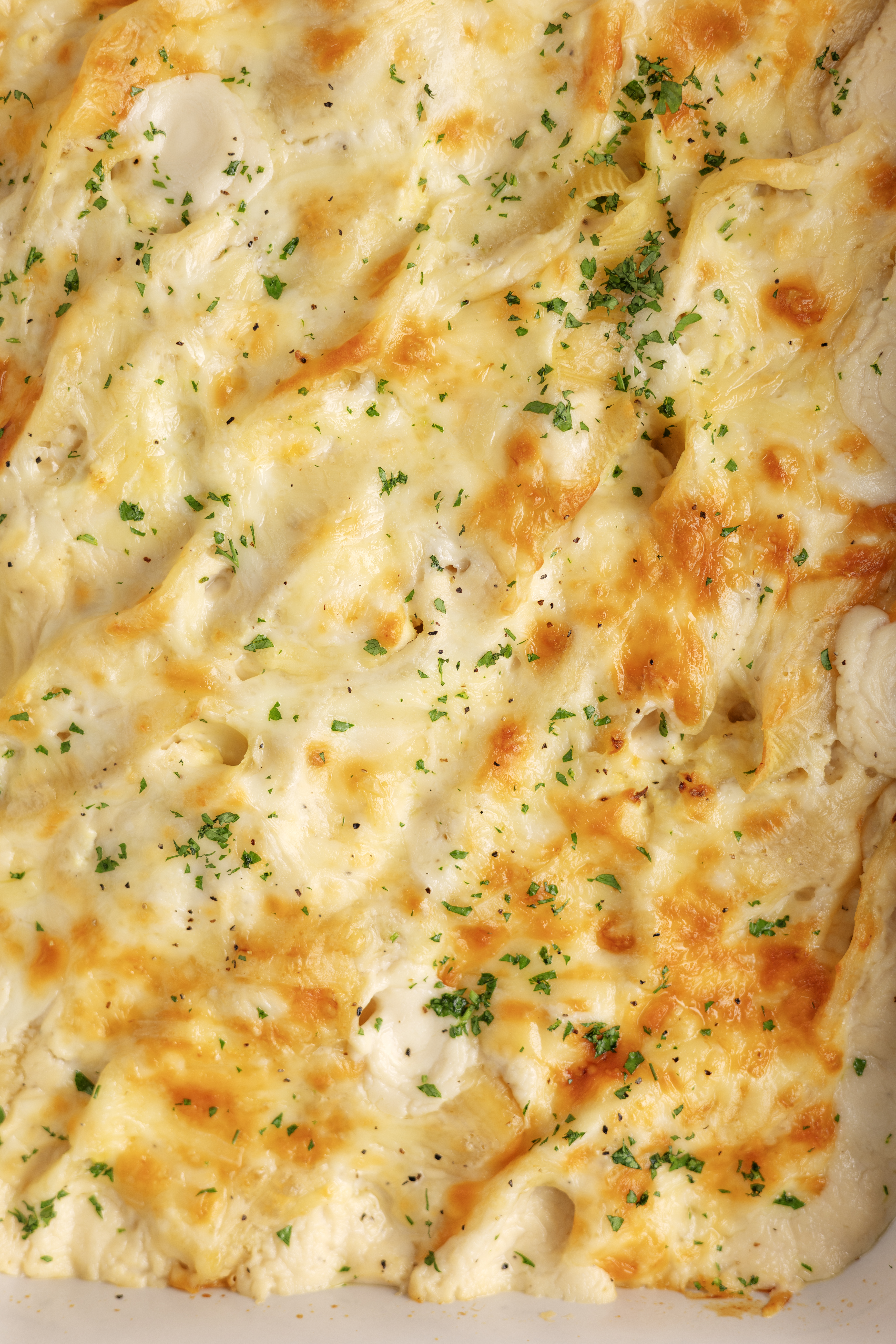 Cheesy Chicken Alfredo Stuffed Shells