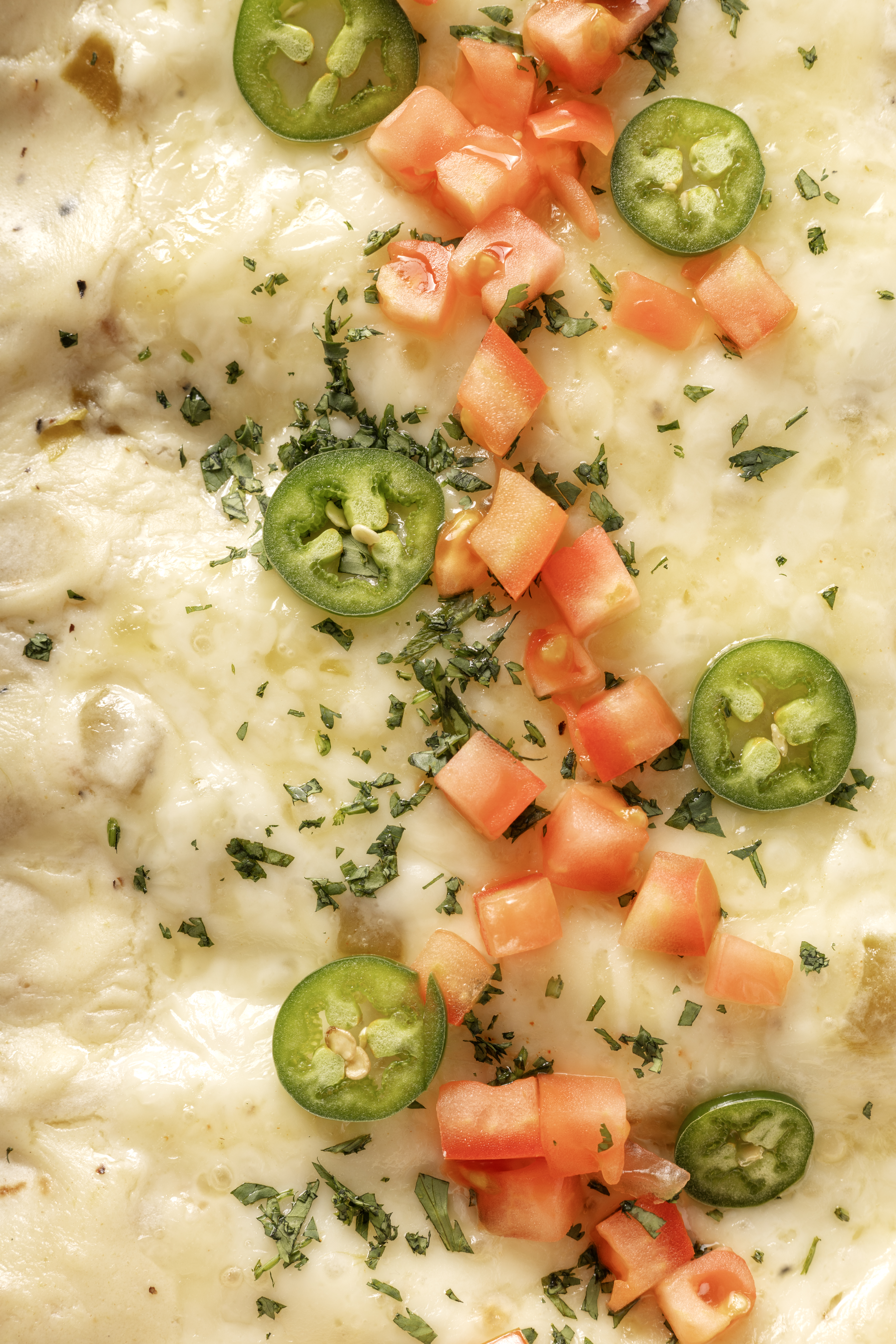 Creamy White Chicken Enchiladas