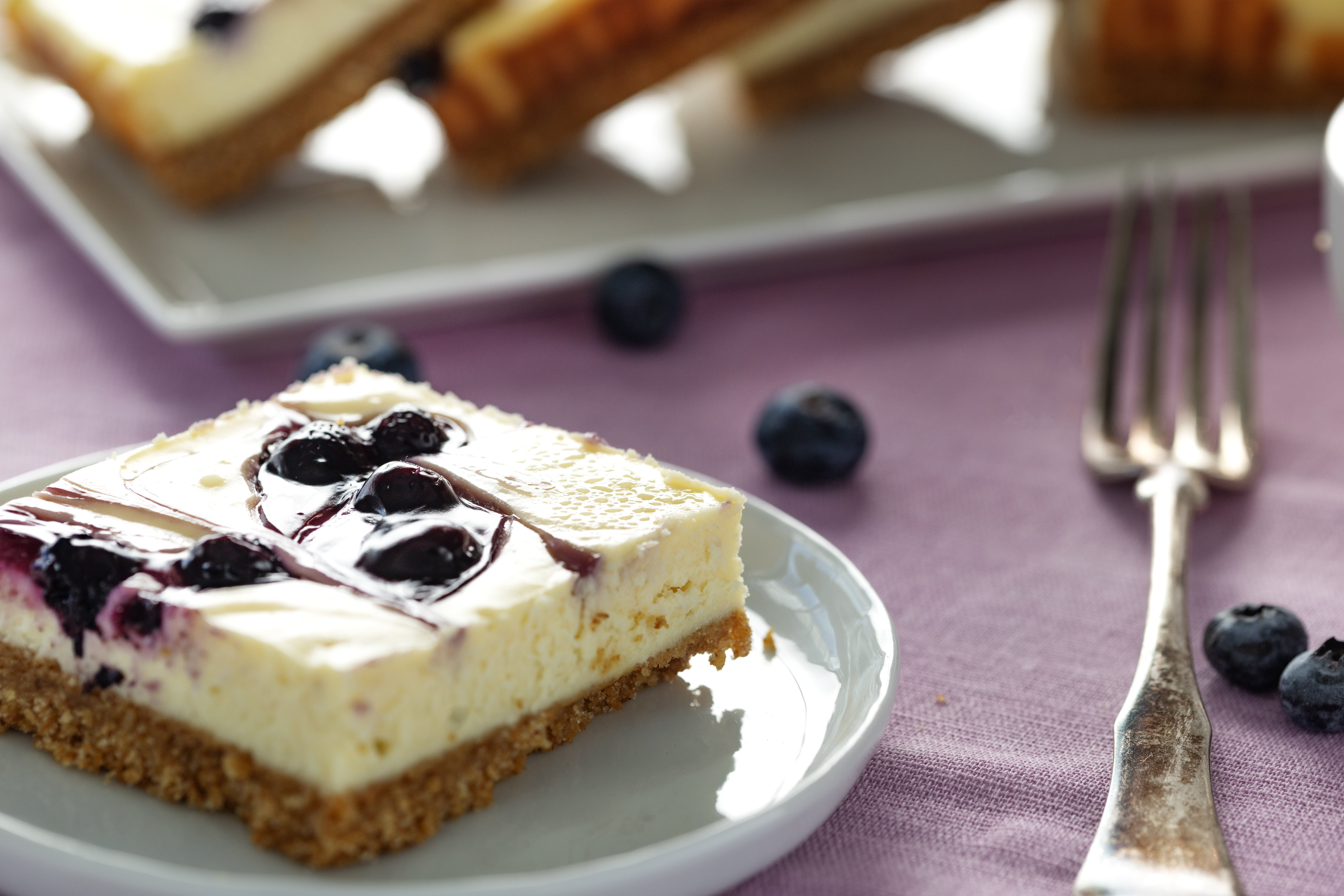 Blueberry Swirl Cheesecake Bars
