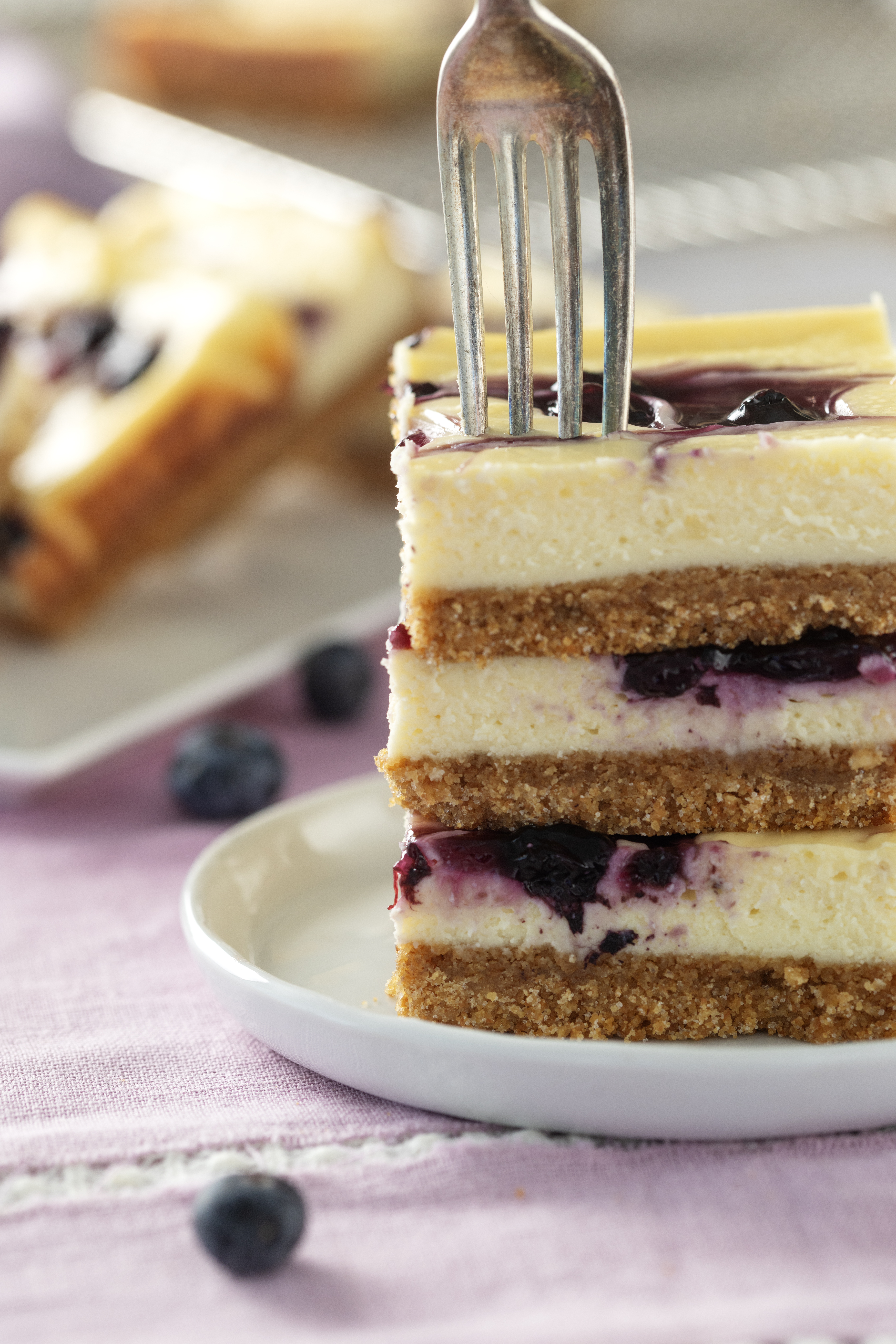 Blueberry Swirl Cheesecake Bars