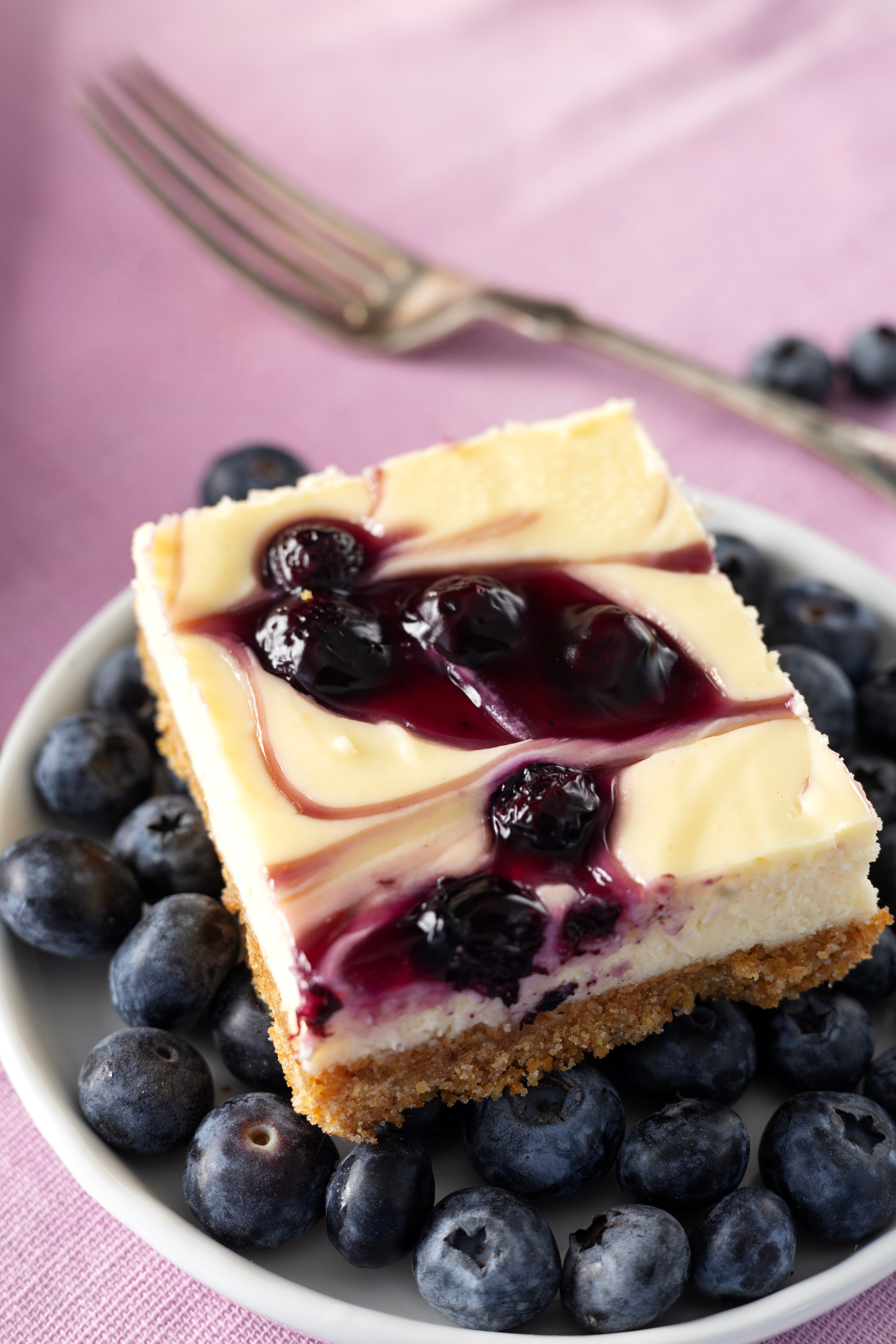 Blueberry Swirl Cheesecake Bars
